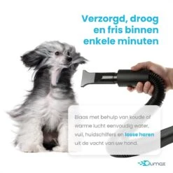 Qumax Professionele Hondenföhn Met 4 Opzetstukken – Waterblazer Voor Honden – Stil Design – Compact En Modern - Zwart -Honden Huis Winkel 1200x1200 260