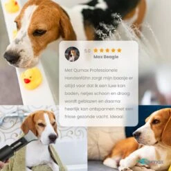 Qumax Professionele Hondenföhn Met 4 Opzetstukken – Waterblazer Voor Honden – Stil Design – Compact En Modern - Zwart -Honden Huis Winkel 1200x1200 261