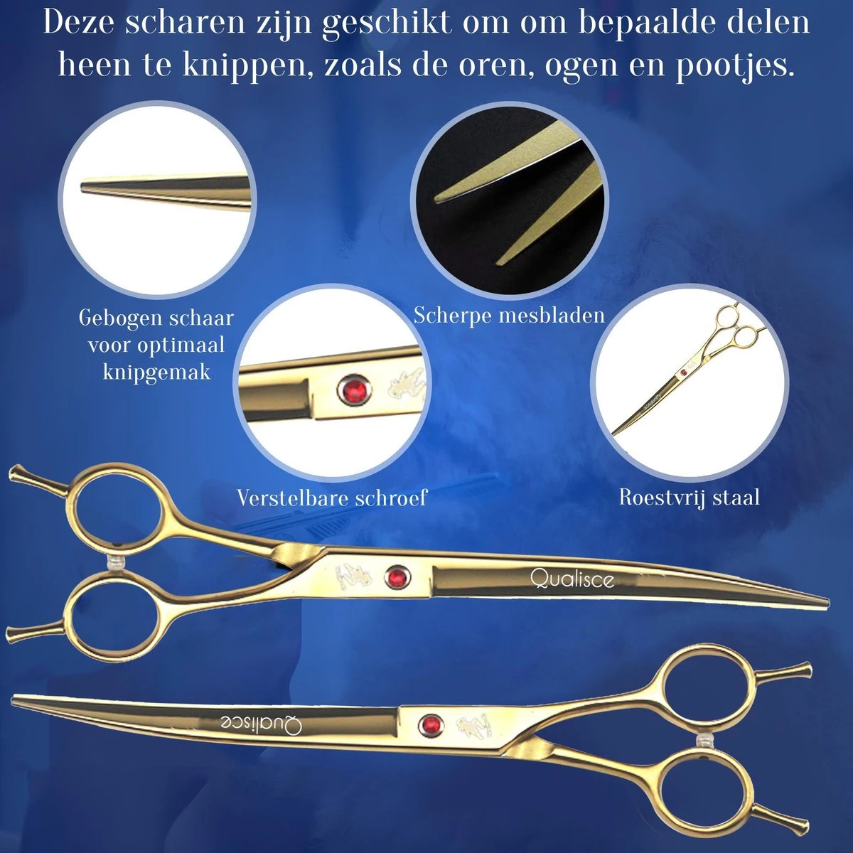 Scharenset Hond - 8-Delige Scharenset - Hondenschaar - Trimset - Trimschaar Voor Honden - Huisdier Knipset - Effileerschaar Hond - Goud 3 Scharenset Hond - 8-Delige Scharenset - Hondenschaar - Trimset - Trimschaar Voor Honden - Huisdier Knipset - Effileerschaar Hond - Goud - Afbeelding 3