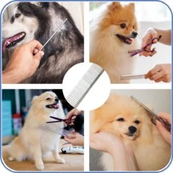 TwinQ Vachtverzorgingsset Hond/kat - Professionele 2-zijdige Ondervacht Kam - Klittenkam Voor Honden En Katten - Verwijderd Klitten En Voorkomt Haaruitval - Incl. Vlooienkam En Tandenborstel -Honden Huis Winkel 1200x1200 30