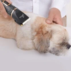Tjilla Professionele Dieren/honden Tondeuse Set Extra Krachtig - Honden Trimmer - Lang Of Kortharige Huisdieren Katten & Honden - Draadloos - Weinig Geluid 9 Tjilla Professionele Dieren/honden Tondeuse Set Extra Krachtig - Honden Trimmer - Lang Of Kortharige Huisdieren Katten & Honden - Draadloos - Weinig Geluid -Honden Huis Winkel 1200x1200 312