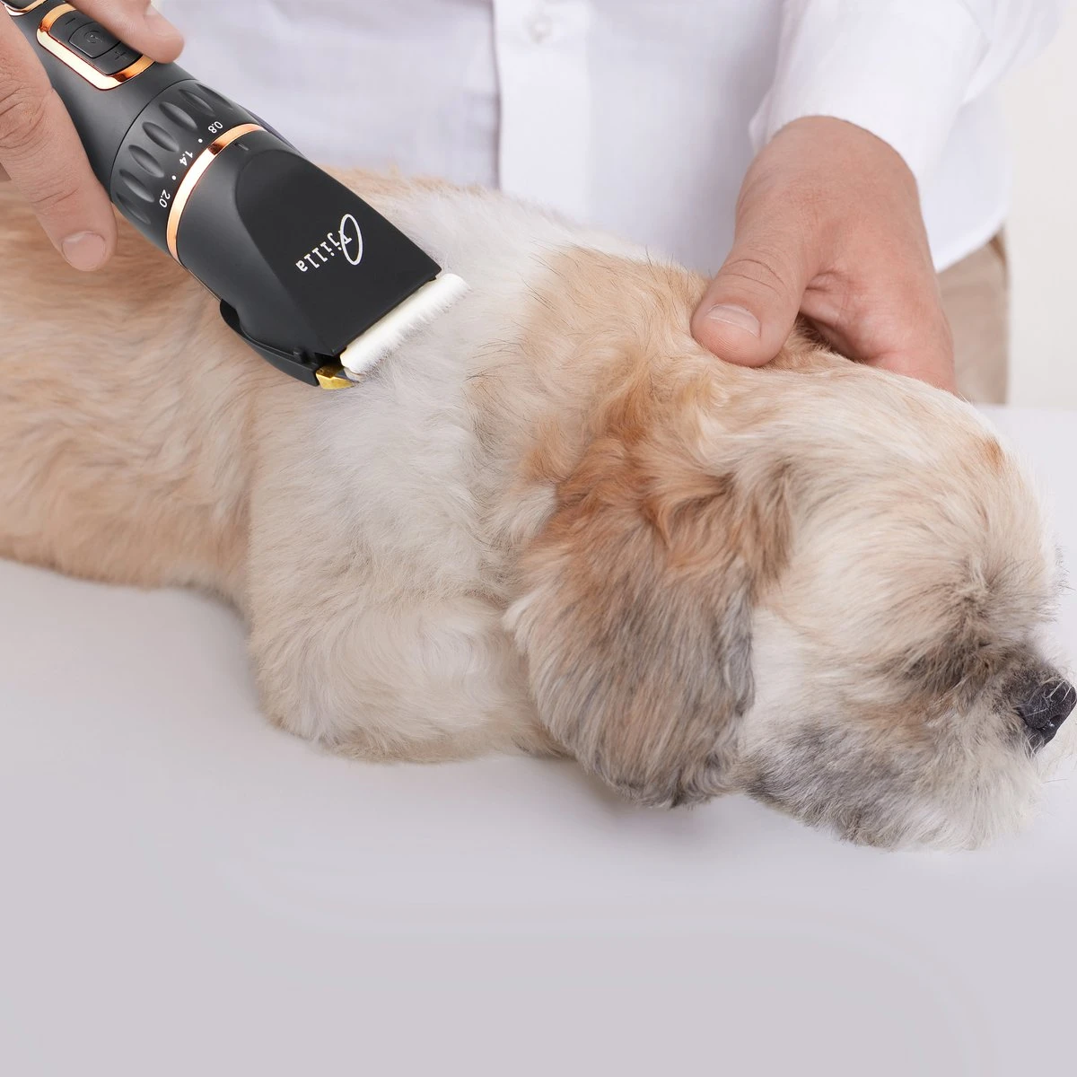 Tjilla Professionele Dieren/honden Tondeuse Set Extra Krachtig - Honden Trimmer - Lang Of Kortharige Huisdieren Katten & Honden - Draadloos - Weinig Geluid 3 Tjilla Professionele Dieren/honden Tondeuse Set Extra Krachtig - Honden Trimmer - Lang Of Kortharige Huisdieren Katten & Honden - Draadloos - Weinig Geluid - Afbeelding 3