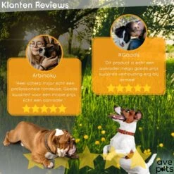 AVE Pets® Complete Hondentondeuse Set - Draadloos Tondeuse - Scheerapparaat Voor Je Hond Of Kat - Huisdier Trimmer - Professionele Dierentondeuse - Dieren Verzorging -Honden Huis Winkel 1200x1200 342