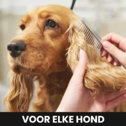 Hondentondeuse - Honden & Katten - Trimmer - Geluidsloos -Honden Huis Winkel 1200x1200 349
