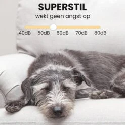 Hondentondeuse - Honden & Katten - Trimmer - Geluidsloos -Honden Huis Winkel 1200x1200 350