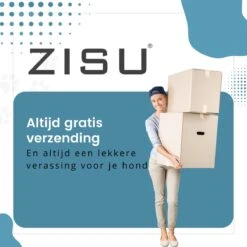 Hondentondeuse - Hondentrimmer - Dieren Tondeuse - Draadloos - 4 Opzetkammen - INCLUSIEF SNACKJE - Zwart -Honden Huis Winkel 1200x1200 355