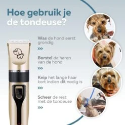 BYER Professionele Dieren Tondeuse Set - Voor Huisdieren Katten & Honden - Draadloos - Oplaadbare Pet Trimmer - Dog Tondeuze Clipper - 5 Standen & Vier Opzetkammen - Low Noise -Honden Huis Winkel 1200x1200 368
