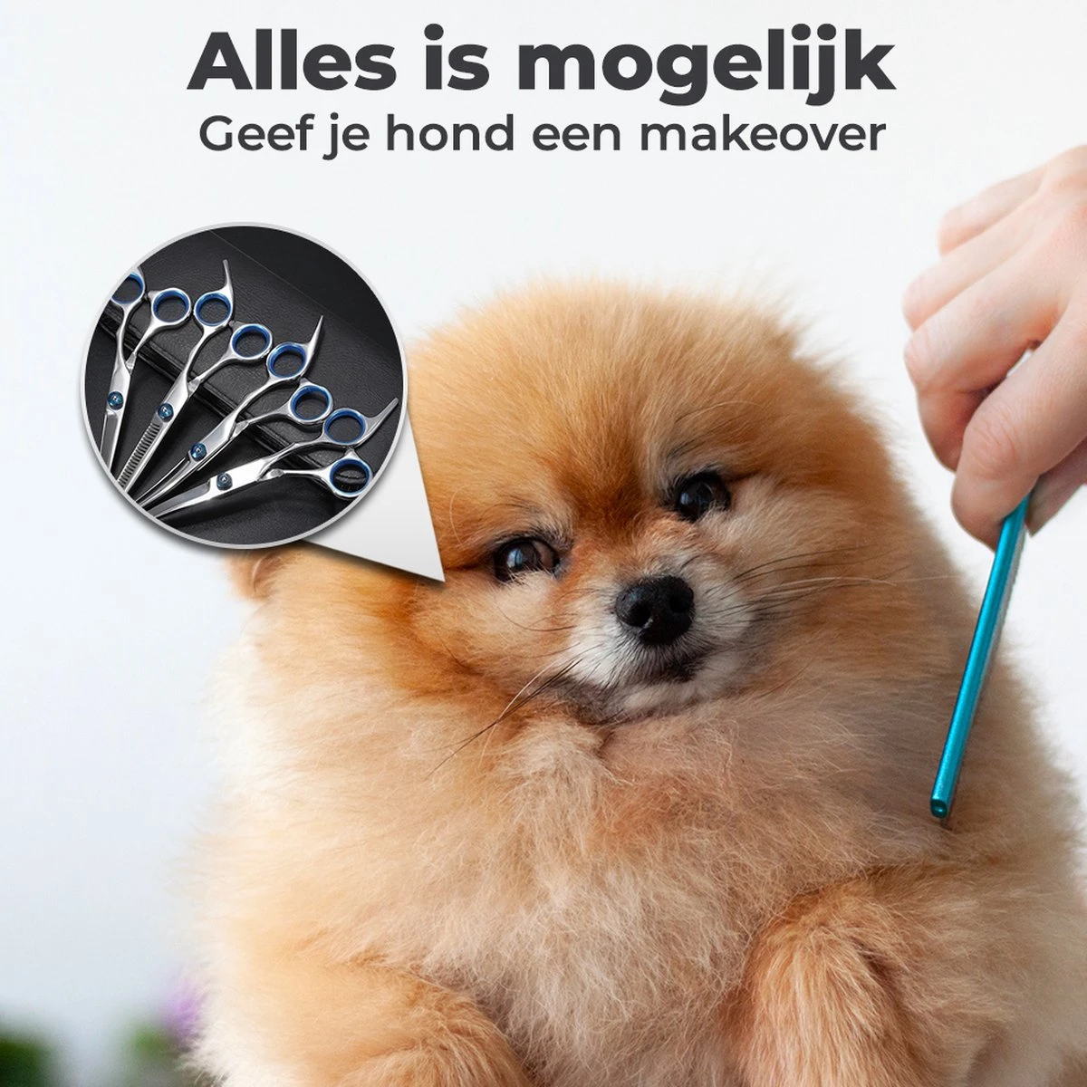 VoordeelShop 7-Delige Huisdier Knipset Met Etui - Trimmen Hond - Honden Schaar - Effileerschaar Hond - Huisdier Trimmer - Huisdier Knippen - Knipschaar Haar - Haar Schaar - Kapper - Kapperset - Scharenset 5 VoordeelShop 7-Delige Huisdier Knipset Met Etui - Trimmen Hond - Honden Schaar - Effileerschaar Hond - Huisdier Trimmer - Huisdier Knippen - Knipschaar Haar - Haar Schaar - Kapper - Kapperset - Scharenset - Afbeelding 5