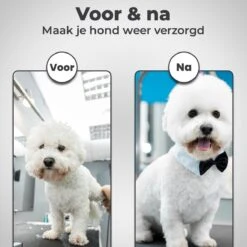 VoordeelShop 7-Delige Huisdier Knipset Met Etui - Trimmen Hond - Honden Schaar - Effileerschaar Hond - Huisdier Trimmer - Huisdier Knippen - Knipschaar Haar - Haar Schaar - Kapper - Kapperset - Scharenset 21 VoordeelShop 7-Delige Huisdier Knipset Met Etui - Trimmen Hond - Honden Schaar - Effileerschaar Hond - Huisdier Trimmer - Huisdier Knippen - Knipschaar Haar - Haar Schaar - Kapper - Kapperset - Scharenset -Honden Huis Winkel 1200x1200 372