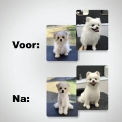 VoordeelShop 7-Delige Huisdier Knipset Met Etui - Trimmen Hond - Honden Schaar - Effileerschaar Hond - Huisdier Trimmer - Huisdier Knippen - Knipschaar Haar - Haar Schaar - Kapper - Kapperset - Scharenset 27 VoordeelShop 7-Delige Huisdier Knipset Met Etui - Trimmen Hond - Honden Schaar - Effileerschaar Hond - Huisdier Trimmer - Huisdier Knippen - Knipschaar Haar - Haar Schaar - Kapper - Kapperset - Scharenset -Honden Huis Winkel 1200x1200 376