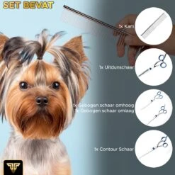 Toivo Schaar Voor Dieren - Zilver - Effileerscharen - Honden Scharenset - Dierenschaar - Set 5 Stuks - Trimscharen - Trimset - Uitdunschaar Hond - Schaar Honden -Honden Huis Winkel 1200x1200 383