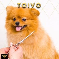 Toivo Schaar Voor Dieren - Zilver - Effileerscharen - Honden Scharenset - Dierenschaar - Set 5 Stuks - Trimscharen - Trimset - Uitdunschaar Hond - Schaar Honden -Honden Huis Winkel 1200x1200 384