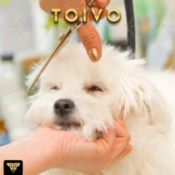 Toivo Schaar Voor Dieren - Zilver - Effileerscharen - Honden Scharenset - Dierenschaar - Set 5 Stuks - Trimscharen - Trimset - Uitdunschaar Hond - Schaar Honden -Honden Huis Winkel 1200x1200 385