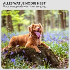 Krachtige Hondenföhn/ Waterblazer Met Draaiknop Om Overtollig Water En Stof Snel Uit De Vacht Te Blazen | Verstelbare Vermogen Standen (500W Tot 2200W) En Verstelbare Temperatuur - Type B Oranje -Honden Huis Winkel 1200x1200 388