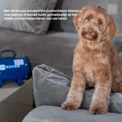 Nuvoo Professionele Hondenföhn / Waterblazer / Hondenborstel Met 3 Opzetstukken - Verstelbare Vermogen Tot 2200W - Warme / Koude Stand - Roze 16 Nuvoo Professionele Hondenföhn / Waterblazer / Hondenborstel Met 3 Opzetstukken - Verstelbare Vermogen Tot 2200W - Warme / Koude Stand - Roze -Honden Huis Winkel 1200x1200 396