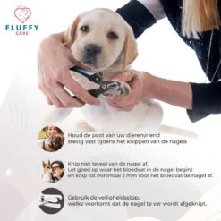 FluffyCare - Professionele Nagelschaar- Nagelschaar Hond - Nagelschaar Kat - Nagelknipper Hond En Kat - Nagelknipper Kat - Nagelknipper Hond - NagelTang Dieren - Poot Verzorging 12 FluffyCare - Professionele Nagelschaar- Nagelschaar Hond - Nagelschaar Kat - Nagelknipper Hond En Kat - Nagelknipper Kat - Nagelknipper Hond - NagelTang Dieren - Poot Verzorging -Honden Huis Winkel 1200x1200 398