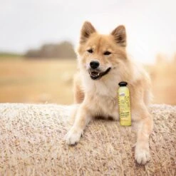 Greenfields Hondenshampoo Voor Langharige Vacht - Zorgt Voor Een Zijdezachte Glanzende Vacht - Inhoud 270 Ml - Hondenshampoo Langharige Vacht -Honden Huis Winkel 1200x1200 410