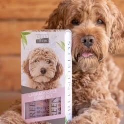 Greenfields Labradoodle Vacht Verzorgingsset - Shampoo En Anti-Klit Spray Voor Langharige Of Krullende Vacht -Honden Huis Winkel 1200x1200 412