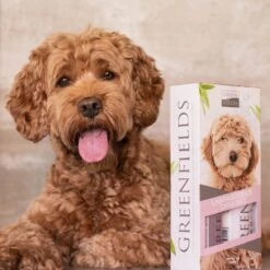 Greenfields Labradoodle Vacht Verzorgingsset - Shampoo En Anti-Klit Spray Voor Langharige Of Krullende Vacht -Honden Huis Winkel 1200x1200 413