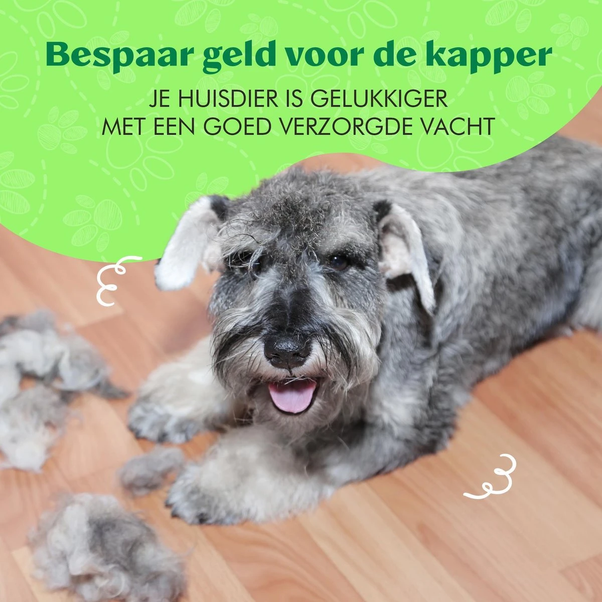 Mister Mill Professionele 2-Zijdige Ondervacht Kam Voor Hond En Kat – Honden/Kattenborstel – Klittenkam – 9,5 Cm. 10 Mister Mill Professionele 2-Zijdige Ondervacht Kam Voor Hond En Kat – Honden/Kattenborstel – Klittenkam – 9,5 Cm. - Afbeelding 10