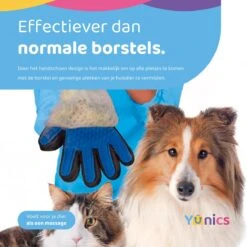 YUNICS® Dieren Handschoen - Haarverwijderaar Voor Huisdieren - Kattenborstel - Hondenborstel - Hondenkam - Kattenhaarverwijderaar - Blauw 7 YUNICS® Dieren Handschoen - Haarverwijderaar Voor Huisdieren - Kattenborstel - Hondenborstel - Hondenkam - Kattenhaarverwijderaar - Blauw -Honden Huis Winkel 1200x1200 464