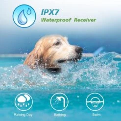 Anti Blafband EN Trainingshalsband In 1 - UNIEK SYSTEEM - 1000m Bereik - 100 Levels - Trainingsband - Antiblafband - Geluid En Vibratie/trilling - Grote En Kleine Honden - Waterdicht - Incl. E-book -Honden Huis Winkel 1200x1200 484