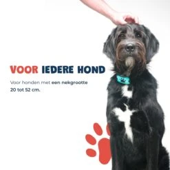 Anti Blafband - Blafband Voor Honden - Anti Blaf Apparaat - Blafband - Diervriendelijk & Zonder Schok -Honden Huis Winkel 1200x1200 493