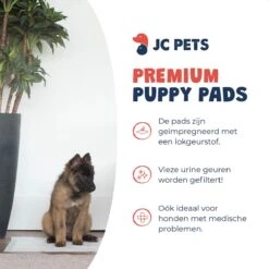 JC Pets Premium Puppy Training Pads - Hondentoilet - Zindelijkheidstraining Hond - 100 Stuks - 60 X 45 Cm -Honden Huis Winkel 1200x1200 516