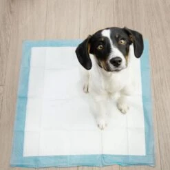 Springos Puppy Training Pads| Plasmatjes Hond | Zindelijkheidstraining | 10 Stuks | 35 X 45 Cm -Honden Huis Winkel 1200x1200 522