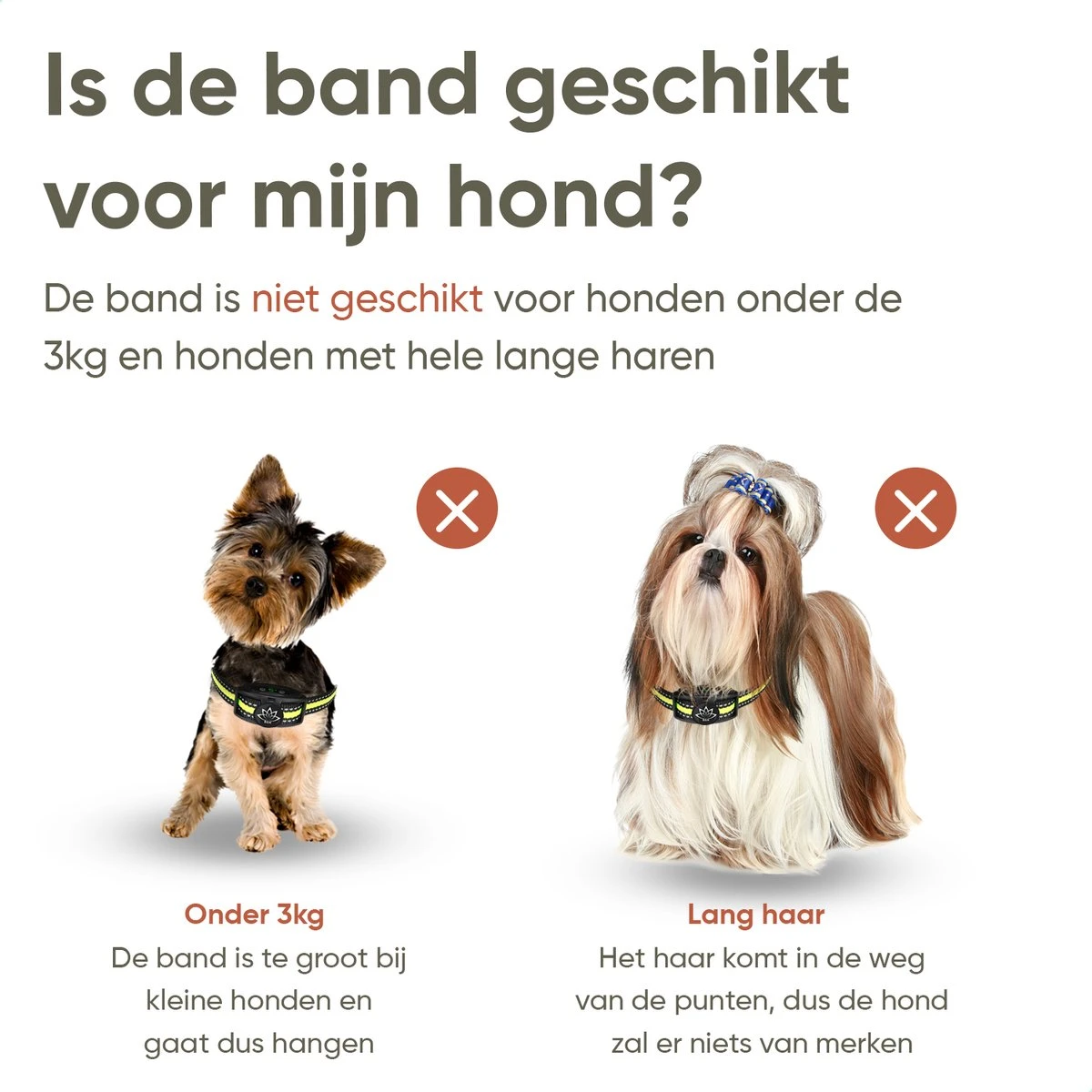 Premium Anti Blafband - Diervriendelijke Opvoedingshalsband Zonder Schok - Trainingshalsband Voor Grote En Kleine Honden - Anti Blaf Band - Correctie Halsband 2 Premium Anti Blafband - Diervriendelijke Opvoedingshalsband Zonder Schok - Trainingshalsband Voor Grote En Kleine Honden - Anti Blaf Band - Correctie Halsband - Afbeelding 2