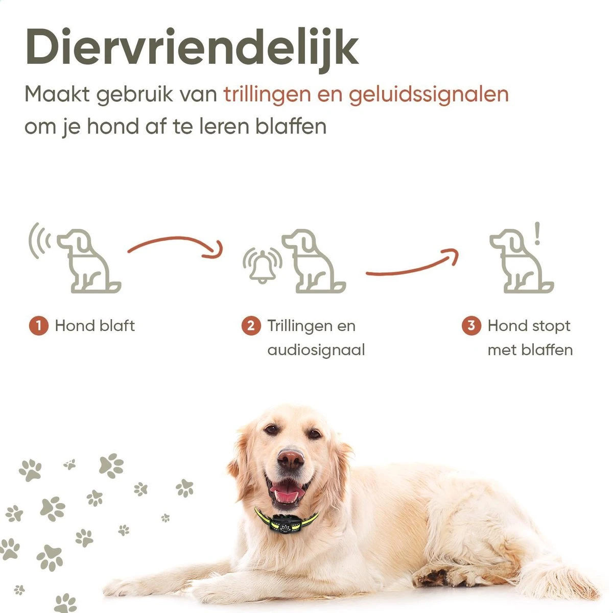 Premium Anti Blafband - Diervriendelijke Opvoedingshalsband Zonder Schok - Trainingshalsband Voor Grote En Kleine Honden - Anti Blaf Band - Correctie Halsband 3 Premium Anti Blafband - Diervriendelijke Opvoedingshalsband Zonder Schok - Trainingshalsband Voor Grote En Kleine Honden - Anti Blaf Band - Correctie Halsband - Afbeelding 3