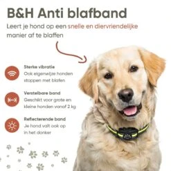 Premium Anti Blafband - Diervriendelijke Opvoedingshalsband Zonder Schok - Trainingshalsband Voor Grote En Kleine Honden - Anti Blaf Band - Correctie Halsband 16 Premium Anti Blafband - Diervriendelijke Opvoedingshalsband Zonder Schok - Trainingshalsband Voor Grote En Kleine Honden - Anti Blaf Band - Correctie Halsband -Honden Huis Winkel 1200x1200 539