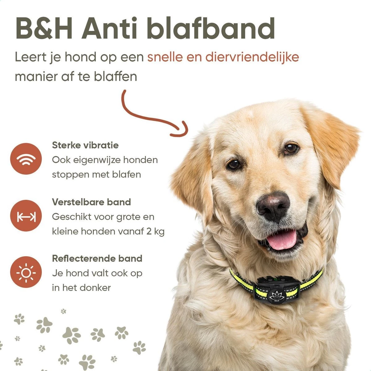 Premium Anti Blafband - Diervriendelijke Opvoedingshalsband Zonder Schok - Trainingshalsband Voor Grote En Kleine Honden - Anti Blaf Band - Correctie Halsband 8 Premium Anti Blafband - Diervriendelijke Opvoedingshalsband Zonder Schok - Trainingshalsband Voor Grote En Kleine Honden - Anti Blaf Band - Correctie Halsband - Afbeelding 8