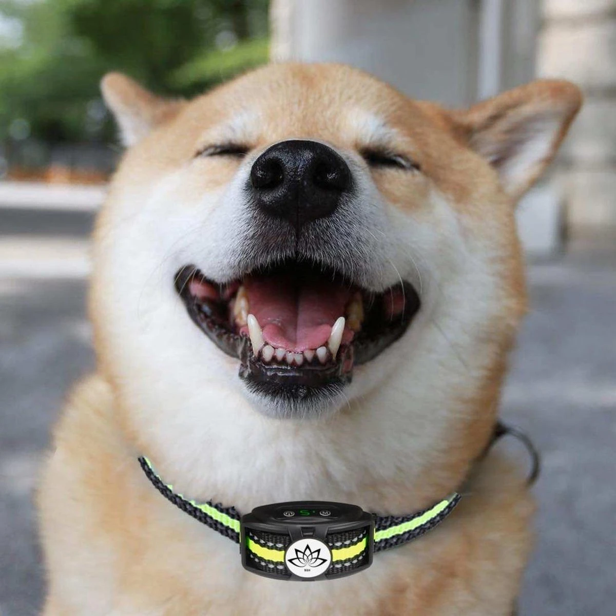 Premium Anti Blafband - Diervriendelijke Opvoedingshalsband Zonder Schok - Trainingshalsband Voor Grote En Kleine Honden - Anti Blaf Band - Correctie Halsband 9 Premium Anti Blafband - Diervriendelijke Opvoedingshalsband Zonder Schok - Trainingshalsband Voor Grote En Kleine Honden - Anti Blaf Band - Correctie Halsband - Afbeelding 9