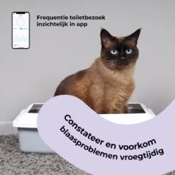 Pettadore Air Insight - Kattenbak Geurverdrijver & Teller - Actieve Zuurstof En Ionen - Oplaadbaar - Met App 18 Pettadore Air Insight - Kattenbak Geurverdrijver & Teller - Actieve Zuurstof En Ionen - Oplaadbaar - Met App -Honden Huis Winkel 1200x1200 585