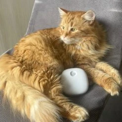 Pettadore Air Insight - Kattenbak Geurverdrijver & Teller - Actieve Zuurstof En Ionen - Oplaadbaar - Met App 26 Pettadore Air Insight - Kattenbak Geurverdrijver & Teller - Actieve Zuurstof En Ionen - Oplaadbaar - Met App -Honden Huis Winkel 1200x1200 593