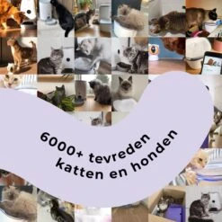 Pettadore Air Insight - Kattenbak Geurverdrijver & Teller - Actieve Zuurstof En Ionen - Oplaadbaar - Met App 27 Pettadore Air Insight - Kattenbak Geurverdrijver & Teller - Actieve Zuurstof En Ionen - Oplaadbaar - Met App -Honden Huis Winkel 1200x1200 594