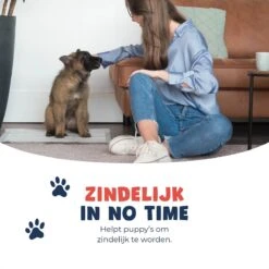 JC Pets Premium Puppy Training Pads - Hondentoilet - Zindelijkheidstraining Hond - 50 Stuks - 60 X 45 Cm -Honden Huis Winkel 1200x1200 599