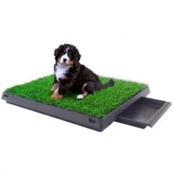 Merkloos Hondentoilet Kunstgras Met Bak - Indoor Dierentoilet - Uitneembare Opvangbak - Puppy Training Pets - Outdoor/Balkon/Tuin/Indoor Toilet - 50x64 Cm -Honden Huis Winkel 1200x1200 610