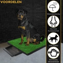 Toivo HondenToilet Kunstgras - Zwart - Geurafstotend - 62 X 49 X 6.6 CM - Honden Wc Outdoor - Zindelijkheidstraining Hond - Puppy Pads - Dierentoilet -Honden Huis Winkel 1200x1200 622