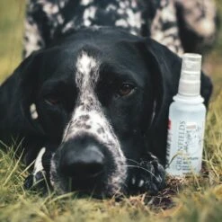 Hondenparfum Spray In 4 Geuren - Greenfields - Alchoholvrije En PH Neutrale Formule Tegen Onaangename Geurtjes - 50ml - Wild -Honden Huis Winkel 1200x1200 63