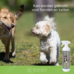Nutrani Geurverwijderaar, 750 Ml, Natuurlijke Enzymreiniger Als Gebruiksklare Spray Met Biologische Werking, Verwijdert Geurtjes, Urine, Poep En Vlekken Van Honden En Katten -Honden Huis Winkel 1200x1200 643