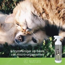 Nutrani Geurverwijderaar, 750 Ml, Natuurlijke Enzymreiniger Als Gebruiksklare Spray Met Biologische Werking, Verwijdert Geurtjes, Urine, Poep En Vlekken Van Honden En Katten -Honden Huis Winkel 1200x1200 644