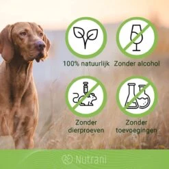 Nutrani Geurverwijderaar, 750 Ml, Natuurlijke Enzymreiniger Als Gebruiksklare Spray Met Biologische Werking, Verwijdert Geurtjes, Urine, Poep En Vlekken Van Honden En Katten -Honden Huis Winkel 1200x1200 645