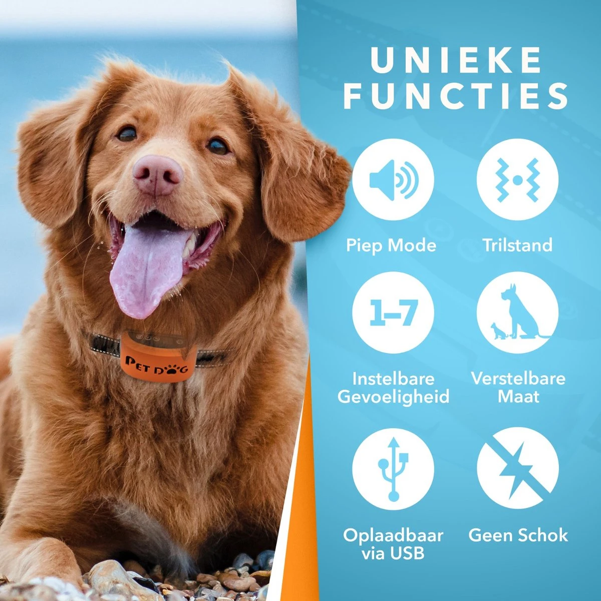 PET DOG® | Anti Blafband Voor Honden | 3 T/m 60 Kg | Oplaadbaar | Anti Blaf Band | Trainingsband | Vibratie En Geluid | Diervriendelijk | Shock Aan/uit Instelbaar 2 PET DOG® | Anti Blafband Voor Honden | 3 T/m 60 Kg | Oplaadbaar | Anti Blaf Band | Trainingsband | Vibratie En Geluid | Diervriendelijk | Shock Aan/uit Instelbaar - Afbeelding 2