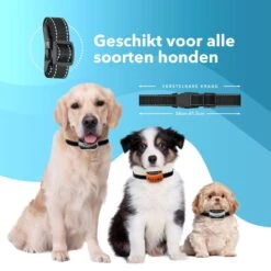 PET DOG® | Anti Blafband Voor Honden | 3 T/m 60 Kg | Oplaadbaar | Anti Blaf Band | Trainingsband | Vibratie En Geluid | Diervriendelijk | Shock Aan/uit Instelbaar 10 PET DOG® | Anti Blafband Voor Honden | 3 T/m 60 Kg | Oplaadbaar | Anti Blaf Band | Trainingsband | Vibratie En Geluid | Diervriendelijk | Shock Aan/uit Instelbaar -Honden Huis Winkel 1200x1200 650