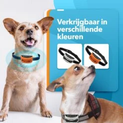 PET DOG® | Anti Blafband Voor Honden | 3 T/m 60 Kg | Oplaadbaar | Anti Blaf Band | Trainingsband | Vibratie En Geluid | Diervriendelijk | Shock Aan/uit Instelbaar 12 PET DOG® | Anti Blafband Voor Honden | 3 T/m 60 Kg | Oplaadbaar | Anti Blaf Band | Trainingsband | Vibratie En Geluid | Diervriendelijk | Shock Aan/uit Instelbaar -Honden Huis Winkel 1200x1200 652