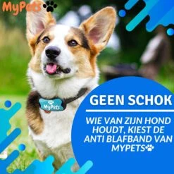 MyPets™ Anti-blafband - Anti Blaf Apparaat - Voor Kleine Honden En Grote Honden - Diervriendelijk - Opvoedingshalsband - Trainingshalsband - 2022/2023 Versie - Inclusief Batterijen -Honden Huis Winkel 1200x1200 655