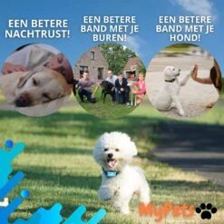 MyPets™ Anti-blafband - Anti Blaf Apparaat - Voor Kleine Honden En Grote Honden - Diervriendelijk - Opvoedingshalsband - Trainingshalsband - 2022/2023 Versie - Inclusief Batterijen -Honden Huis Winkel 1200x1200 658
