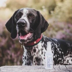 Hondenparfum Spray In 4 Geuren - Greenfields - Alchoholvrije En PH Neutrale Formule Tegen Onaangename Geurtjes - 50ml - Wild -Honden Huis Winkel 1200x1200 66